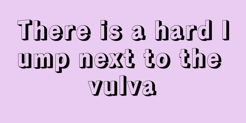 There is a hard lump next to the vulva