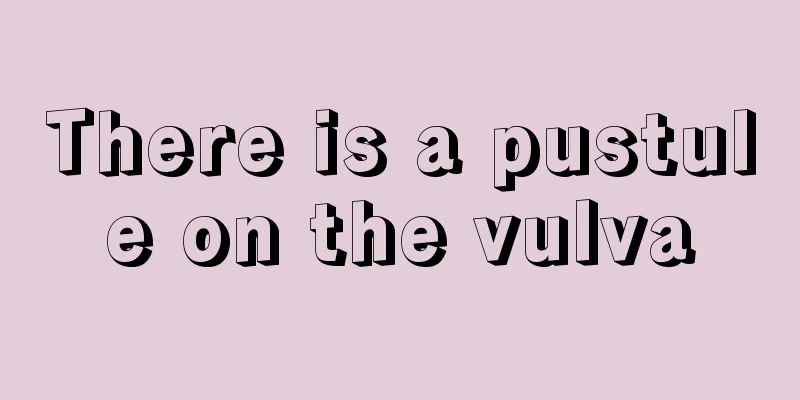 There is a pustule on the vulva