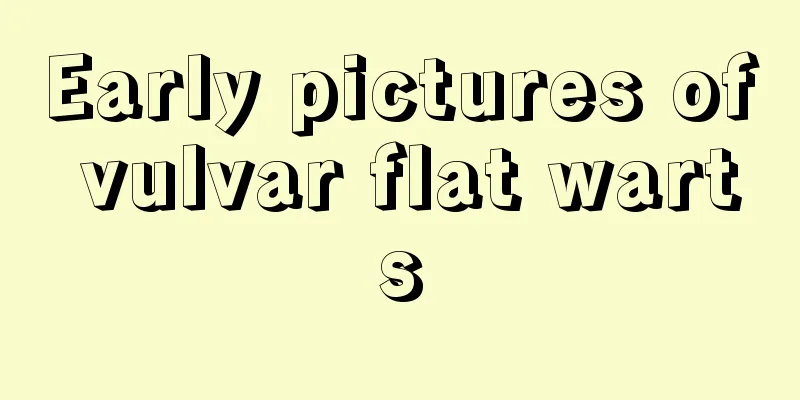 Early pictures of vulvar flat warts