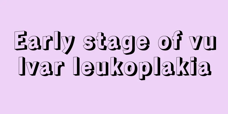 Early stage of vulvar leukoplakia