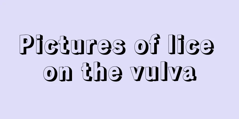 Pictures of lice on the vulva