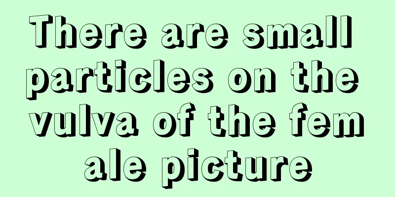 There are small particles on the vulva of the female picture