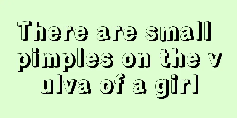 There are small pimples on the vulva of a girl