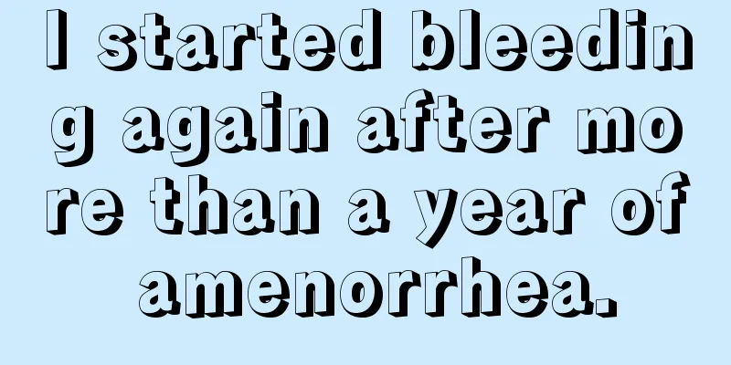 I started bleeding again after more than a year of amenorrhea.