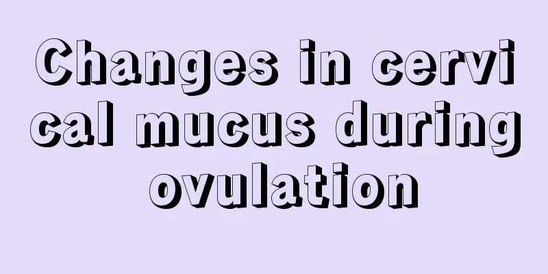 Changes in cervical mucus during ovulation