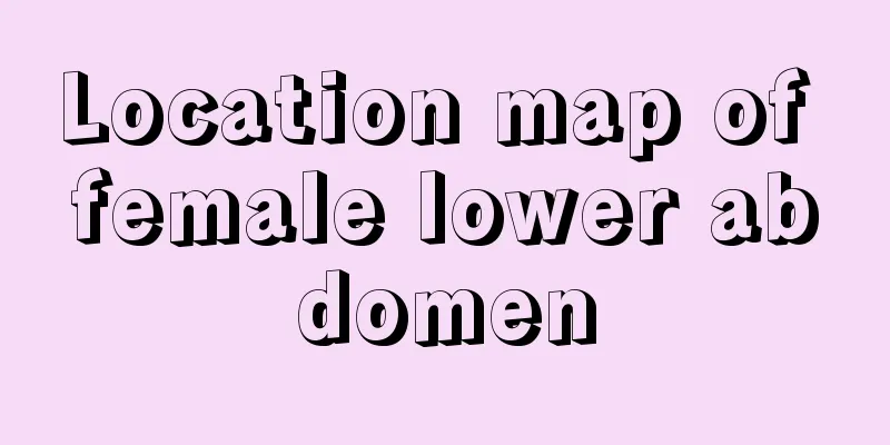 Location map of female lower abdomen