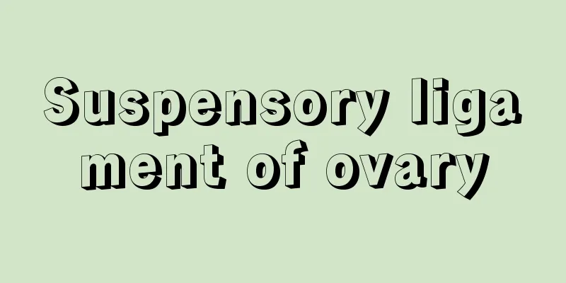 Suspensory ligament of ovary