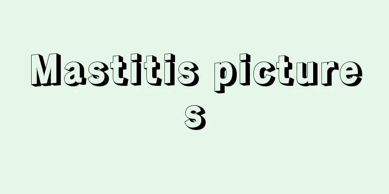 Mastitis pictures