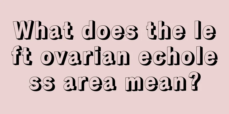 What does the left ovarian echoless area mean?