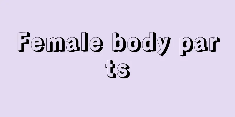 Female body parts