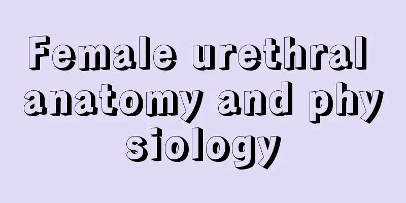 Female urethral anatomy and physiology