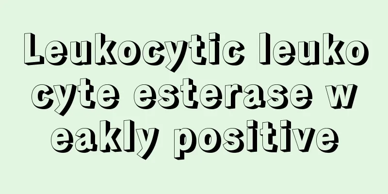 Leukocytic leukocyte esterase weakly positive