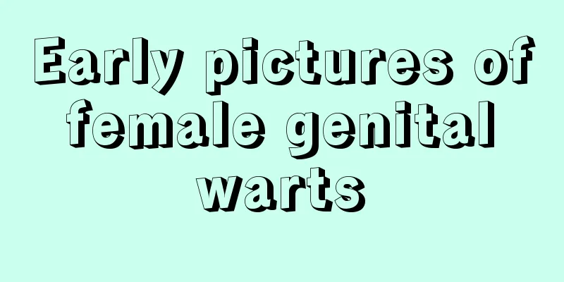 Early pictures of female genital warts