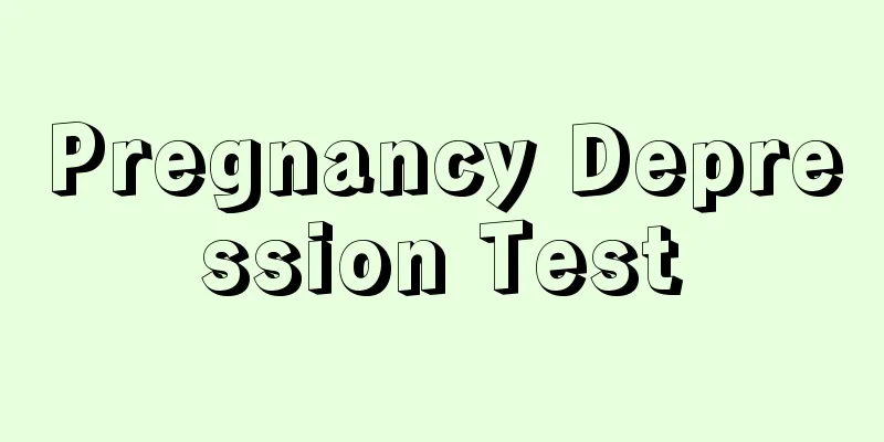 Pregnancy Depression Test