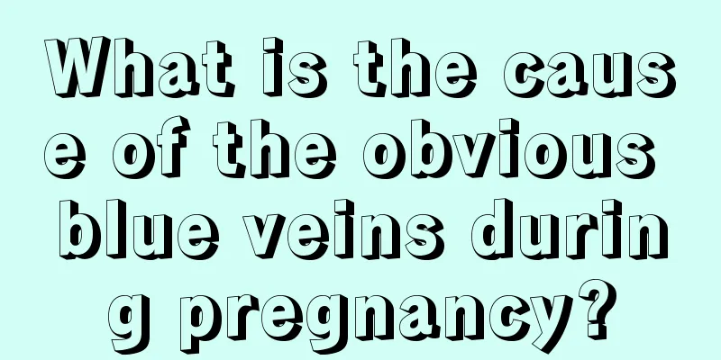 What is the cause of the obvious blue veins during pregnancy?