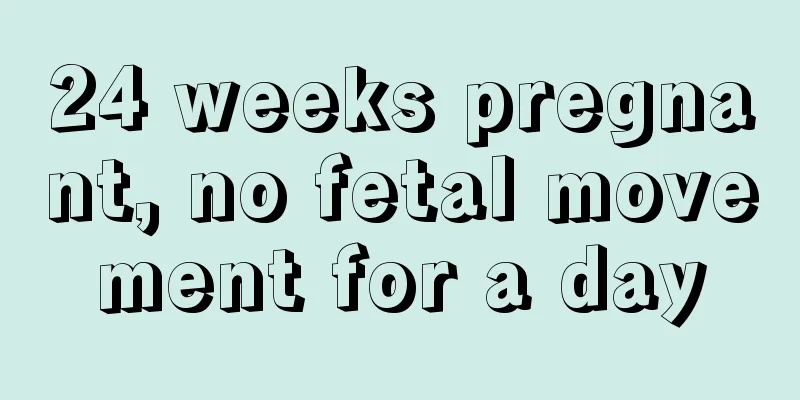 24 weeks pregnant, no fetal movement for a day