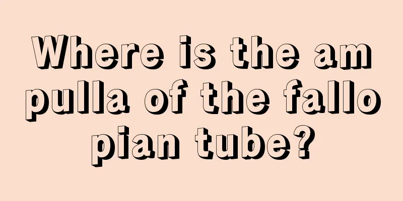 Where is the ampulla of the fallopian tube?