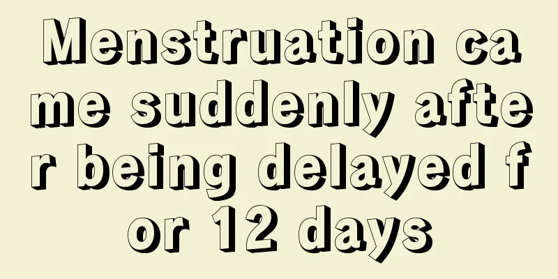 Menstruation came suddenly after being delayed for 12 days