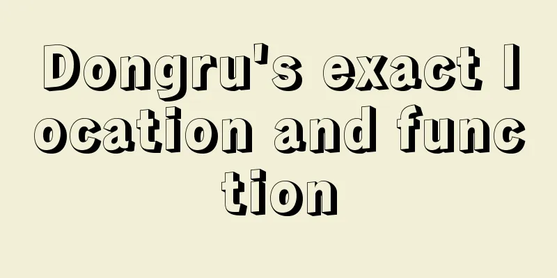 Dongru's exact location and function