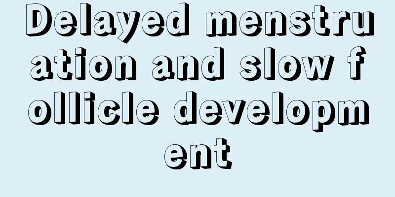 Delayed menstruation and slow follicle development