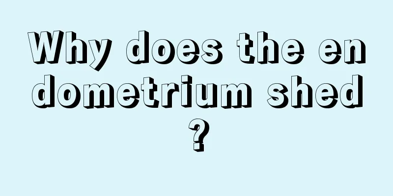 Why does the endometrium shed?