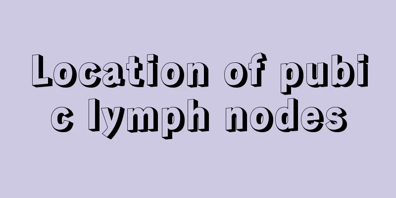 Location of pubic lymph nodes