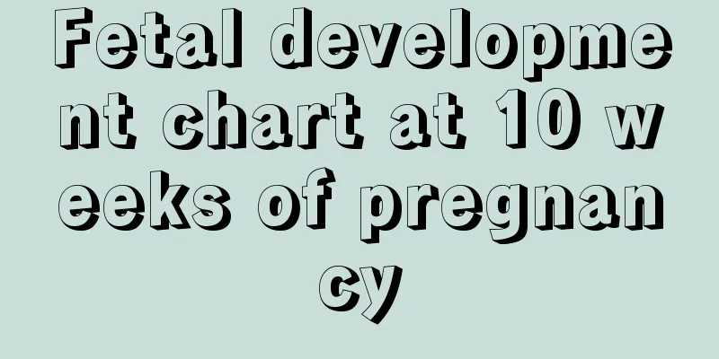 Fetal development chart at 10 weeks of pregnancy