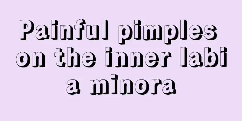 Painful pimples on the inner labia minora