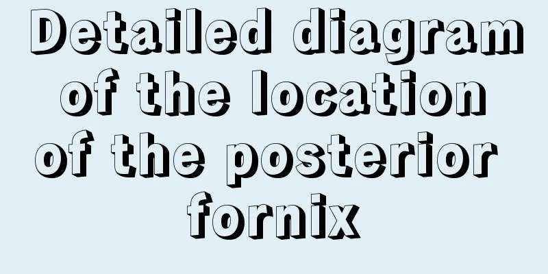 Detailed diagram of the location of the posterior fornix