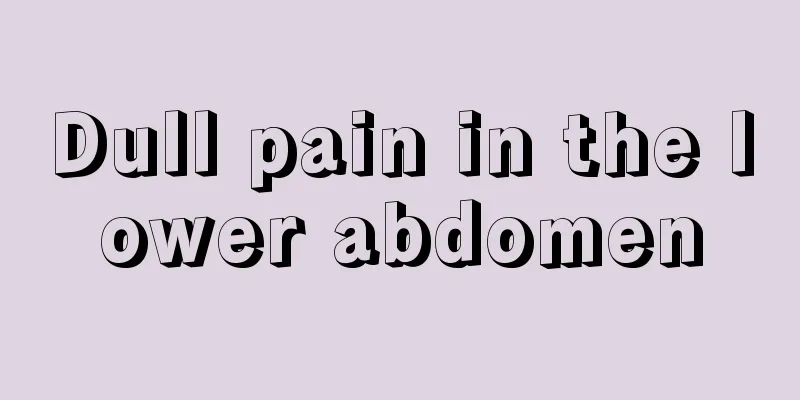 Dull pain in the lower abdomen