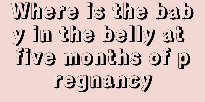 Where is the baby in the belly at five months of pregnancy