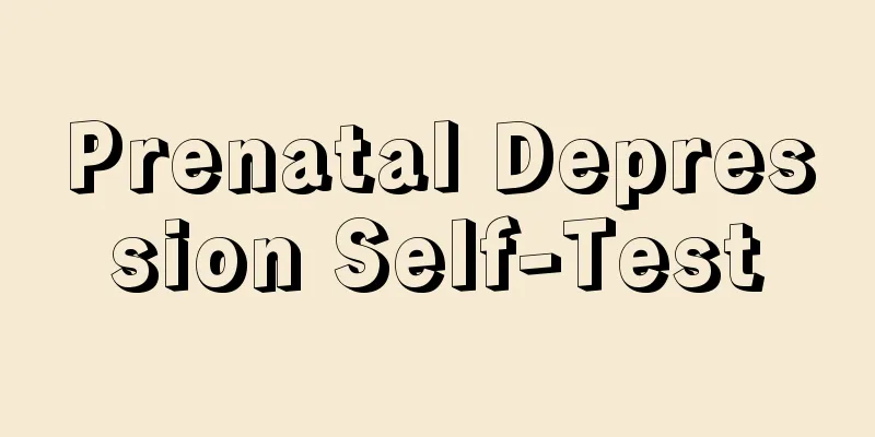 Prenatal Depression Self-Test