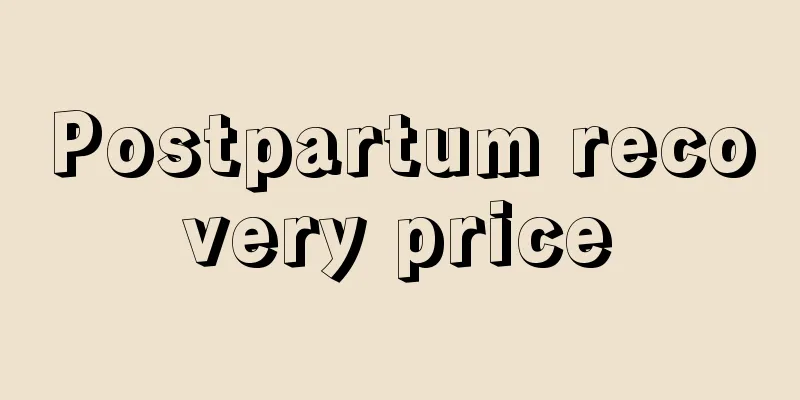 Postpartum recovery price