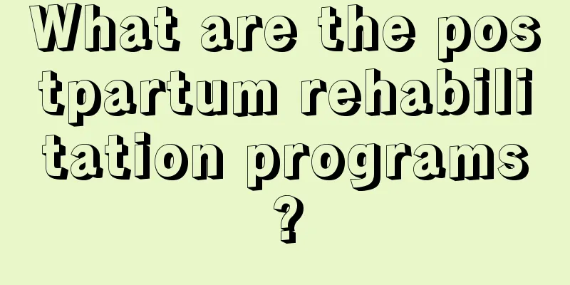 What are the postpartum rehabilitation programs?