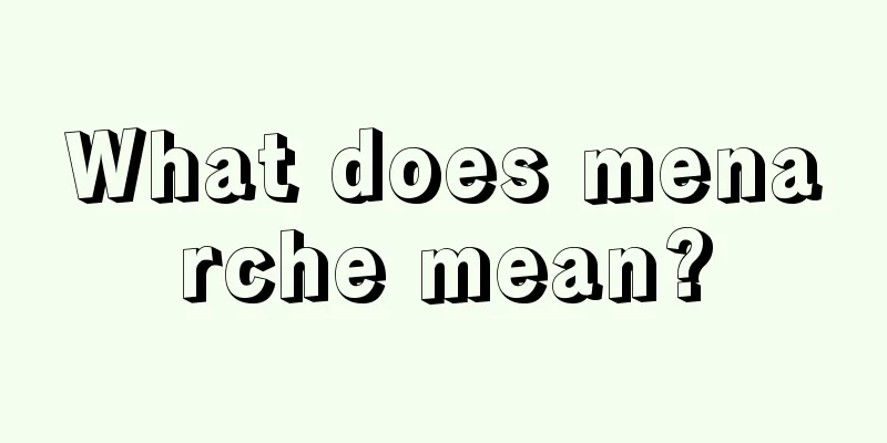 What does menarche mean?