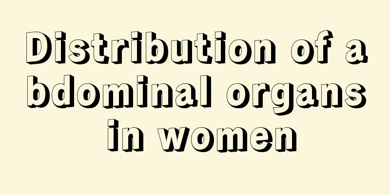 Distribution of abdominal organs in women