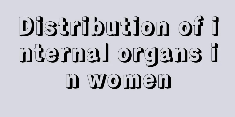 Distribution of internal organs in women