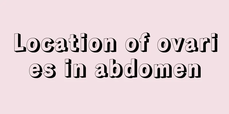 Location of ovaries in abdomen