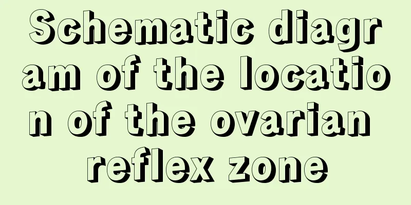 Schematic diagram of the location of the ovarian reflex zone