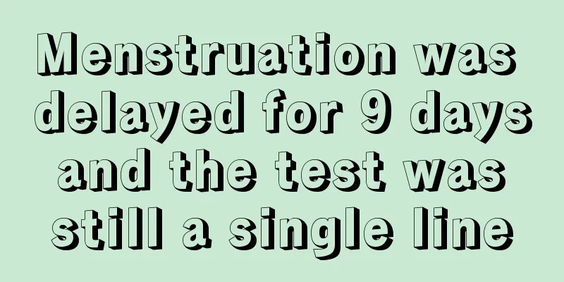 Menstruation was delayed for 9 days and the test was still a single line