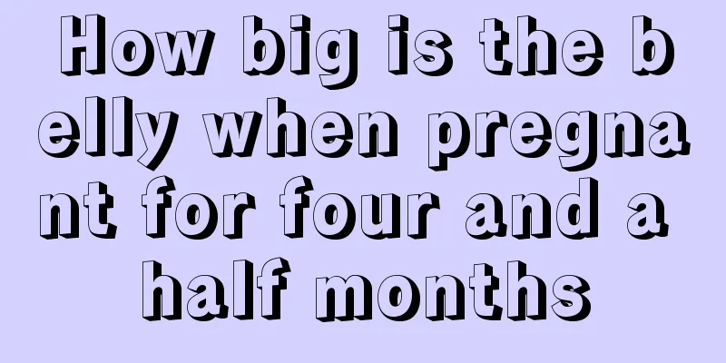 How big is the belly when pregnant for four and a half months