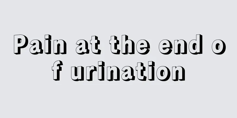 Pain at the end of urination