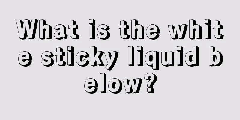 What is the white sticky liquid below?