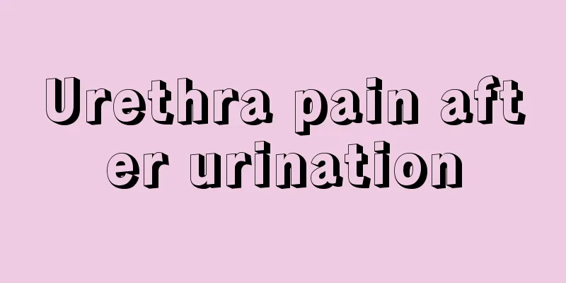 Urethra pain after urination