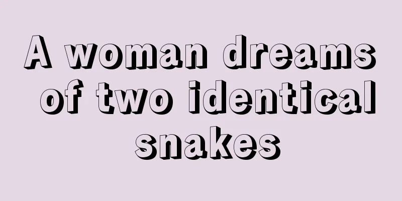 A woman dreams of two identical snakes