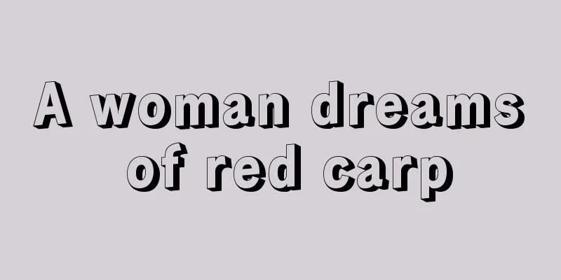 A woman dreams of red carp