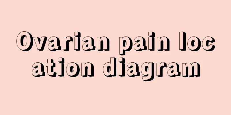 Ovarian pain location diagram