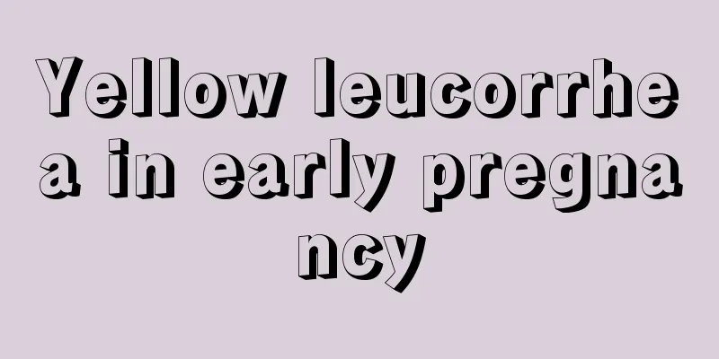 Yellow leucorrhea in early pregnancy