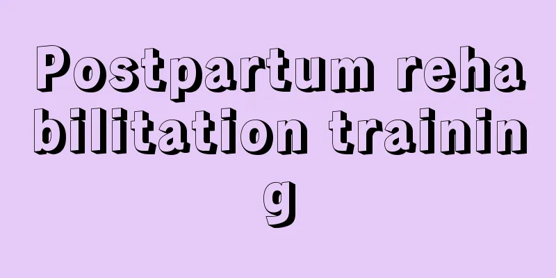 Postpartum rehabilitation training