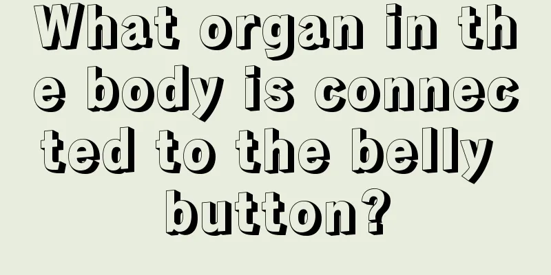 What organ in the body is connected to the belly button?